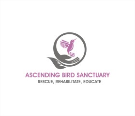 Ascending Bird Sanctuary entry by Tawatchai