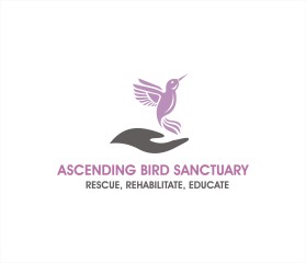 Ascending Bird Sanctuary entry by Tawatchai
