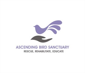 Ascending Bird Sanctuary entry by Tawatchai