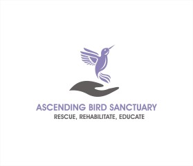 Ascending Bird Sanctuary entry by Tawatchai