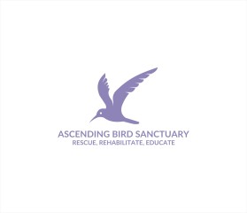 Ascending Bird Sanctuary entry by Tawatchai