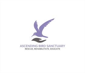 Ascending Bird Sanctuary entry by Tawatchai