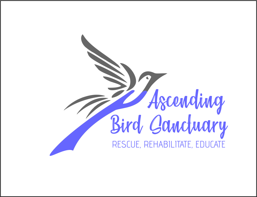 Logo Design for Ascending Bird Sanctuary