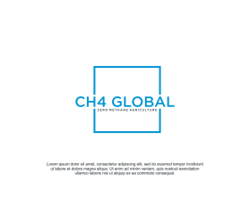 CH4 Global entry by sarada art
