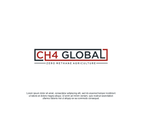 CH4 Global entry by sarada art