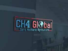 CH4 Global entry by Markzwor880