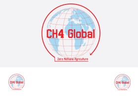 CH4 Global entry by Markzwor880