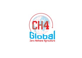 CH4 Global entry by Markzwor880