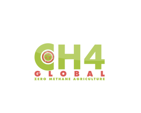 CH4 Global entry by Sasandira1