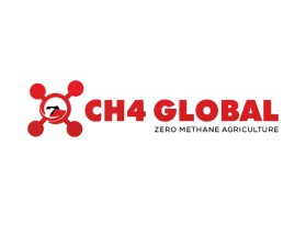 CH4 Global entry by badluck