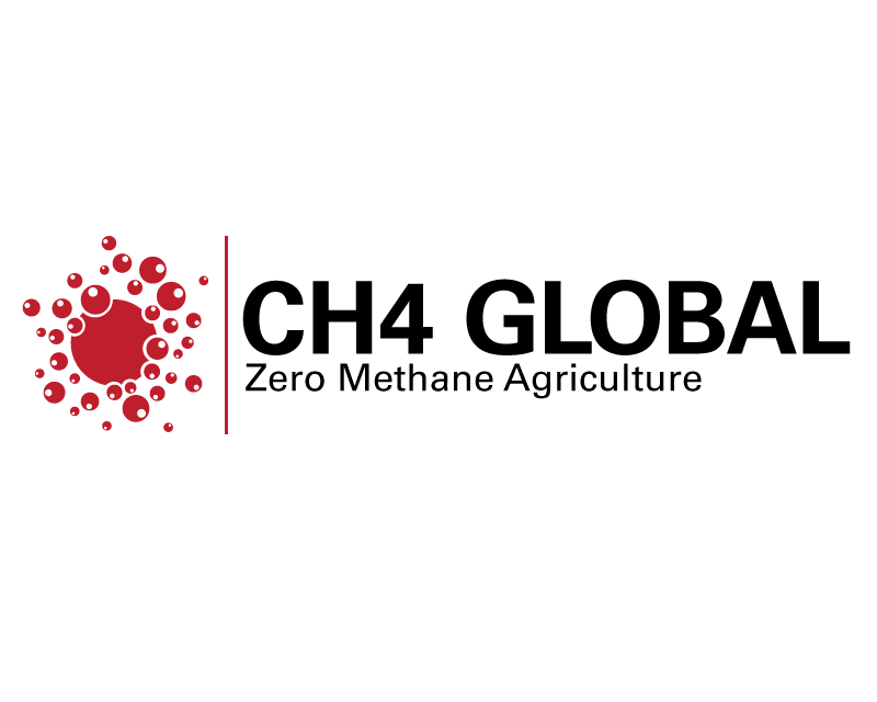 Logo Design for CH4 Global