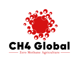 CH4 Global entry by freelancerT