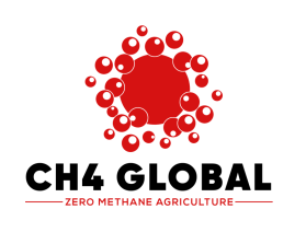 CH4 Global entry by freelancerT