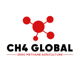 CH4 Global entry by freelancerT