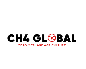 CH4 Global entry by freelancerT
