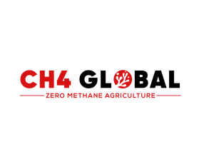 CH4 Global entry by freelancerT