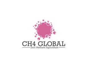 CH4 Global entry by freelancerT