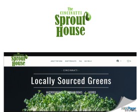 The Cincinnati Sprout House entry by Ed Stokes