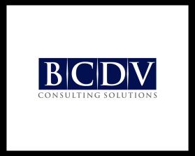 BCDV Consulting Solutions entry by binbin design