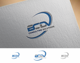 BCDV Consulting Solutions entry by Hisane