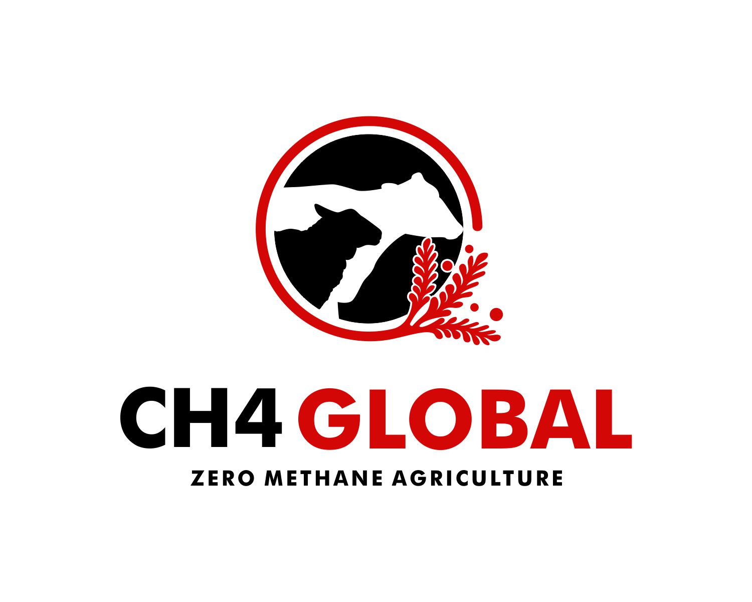 Graphic Design for CH4 Global