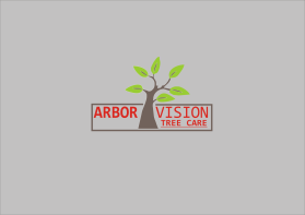 Arbor Vision Tree Care, arbor-vision.com entry by matsna bagas prihanto