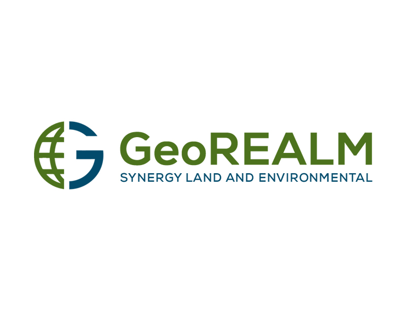 Logo Design for GeoREALM