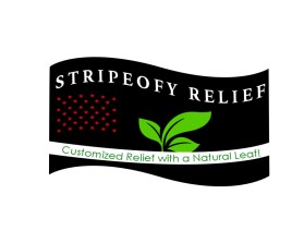 AmerOfy Relief entry by Ydesigns
