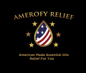 AmerOfy Relief entry by SaGamedia