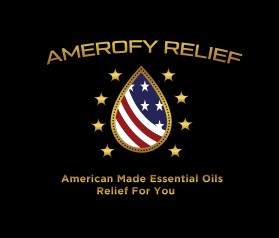 AmerOfy Relief entry by SaGamedia