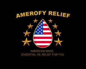 AmerOfy Relief entry by Ydesigns