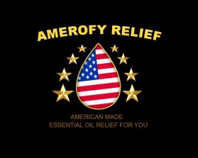 AmerOfy Relief entry by Ydesigns