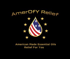 AmerOfy Relief entry by SaGamedia
