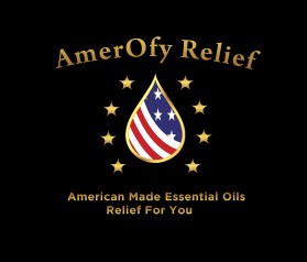 AmerOfy Relief entry by SaGamedia