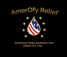 AmerOfy Relief entry by SaGamedia
