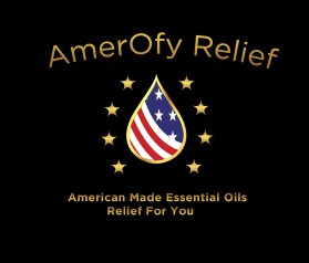 AmerOfy Relief entry by SaGamedia
