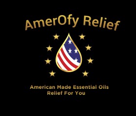 AmerOfy Relief entry by SaGamedia
