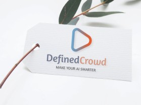 DefinedCrowd entry by achmadfauzi