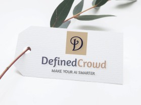 DefinedCrowd entry by achmadfauzi