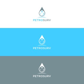 PetroSURV entry by berkah
