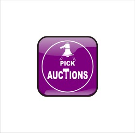 Pick Auctions entry by earthindore