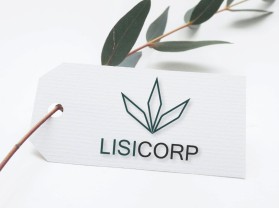 Lisi Corp entry by achmadfauzi