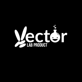 Vector entry by dignr08