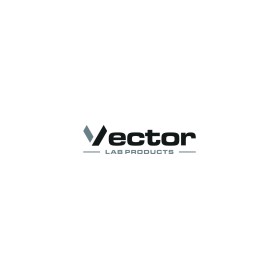 Vector entry by berkah