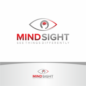 MindSight entry by makrufi