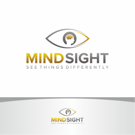 MindSight entry by makrufi