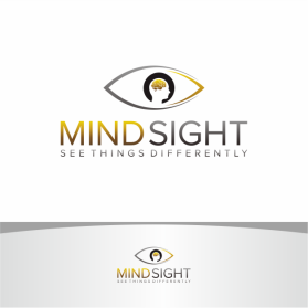 MindSight entry by makrufi