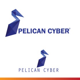 Pelican Cyber entry by Shark Attack