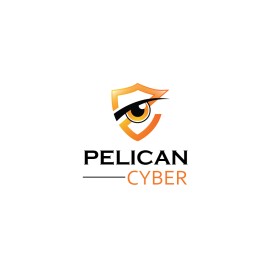 Pelican Cyber entry by PRO OUB