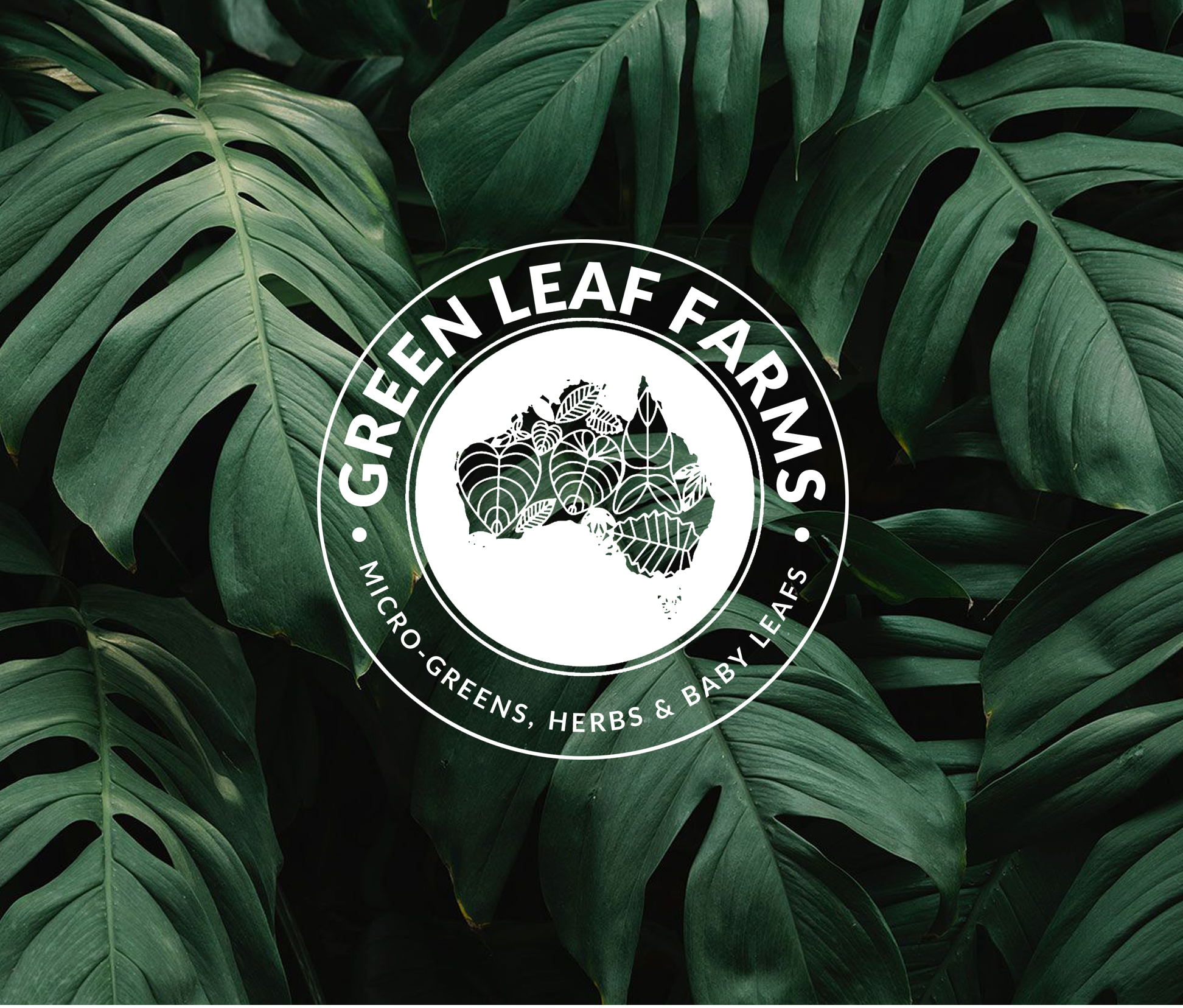 Logo Design entry 2003917 submitted by Bolt95